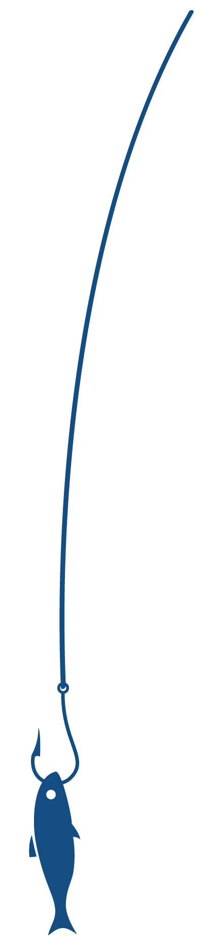 fish on a hook