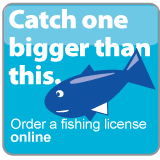Purchase a fishing license online