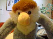 Web Monkey
