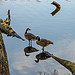 Photo from the RI.gov photo gallery pool